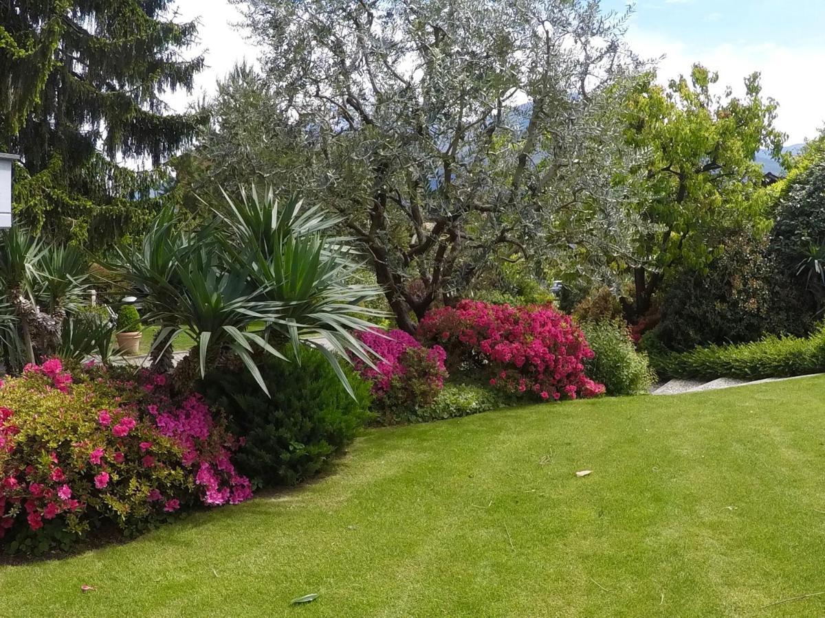 Abies Lago Di Como Донго Экстерьер фото