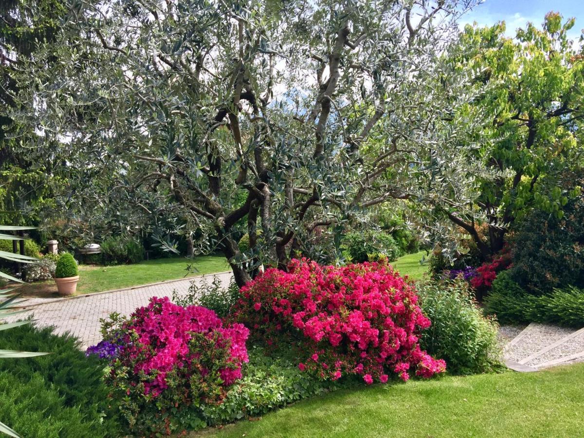 Abies Lago Di Como Донго Экстерьер фото