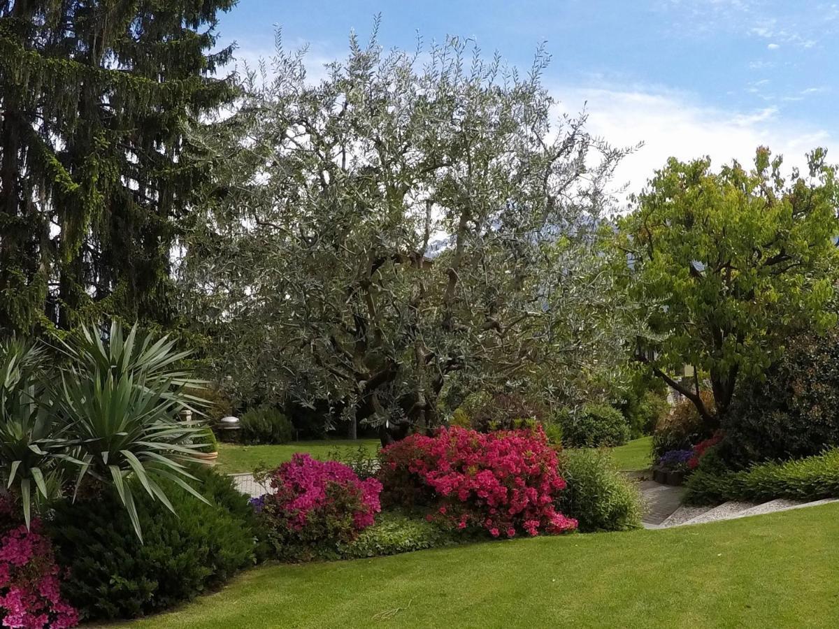 Abies Lago Di Como Донго Экстерьер фото