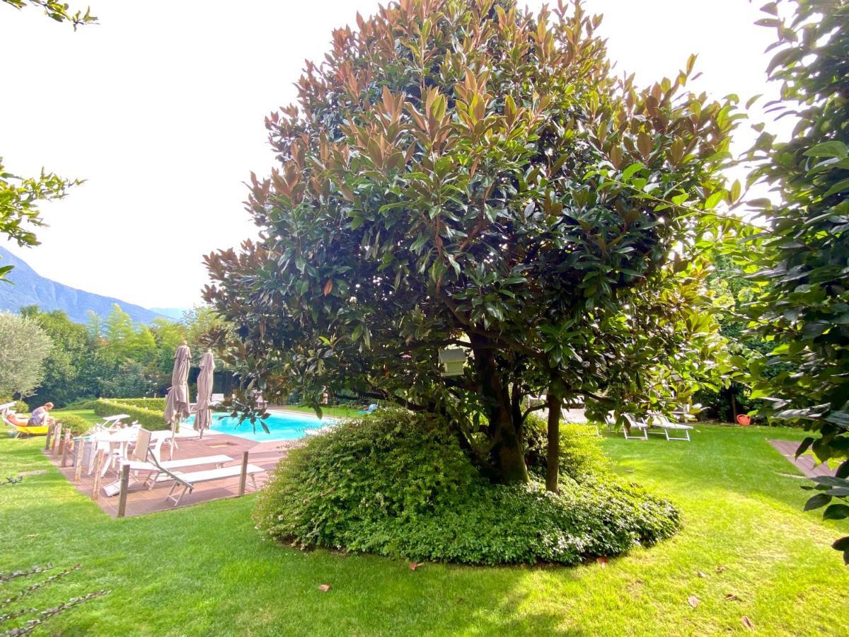 Abies Lago Di Como Донго Экстерьер фото